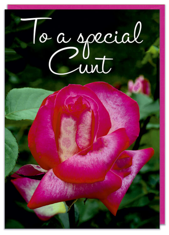 A rude greeting card with a lovely picture of a big pink rosebud