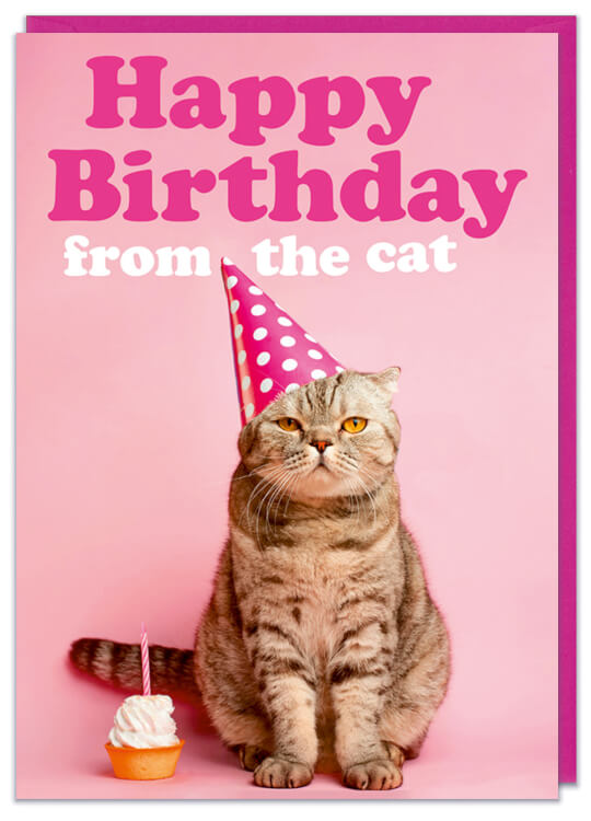 A birthday card with cute picture of a cat wearing a birthday hat sat beside a birthday cupcake with a candle