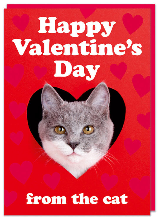 A Valentine's card with a picture of a cat looking through a heart shaped hole on a deep red background