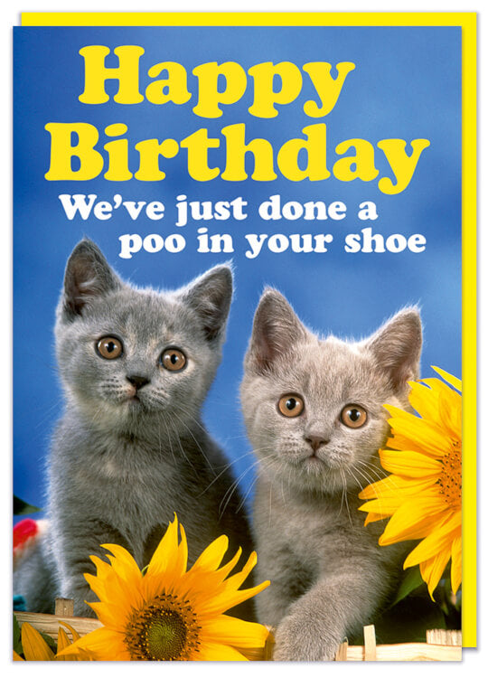 A birthday card with a kitsch photo of two cats surrounded by sunflowers looking at the camera.  Yellow and white text above them reads Happy Birthday We've just done a poo in your shoe