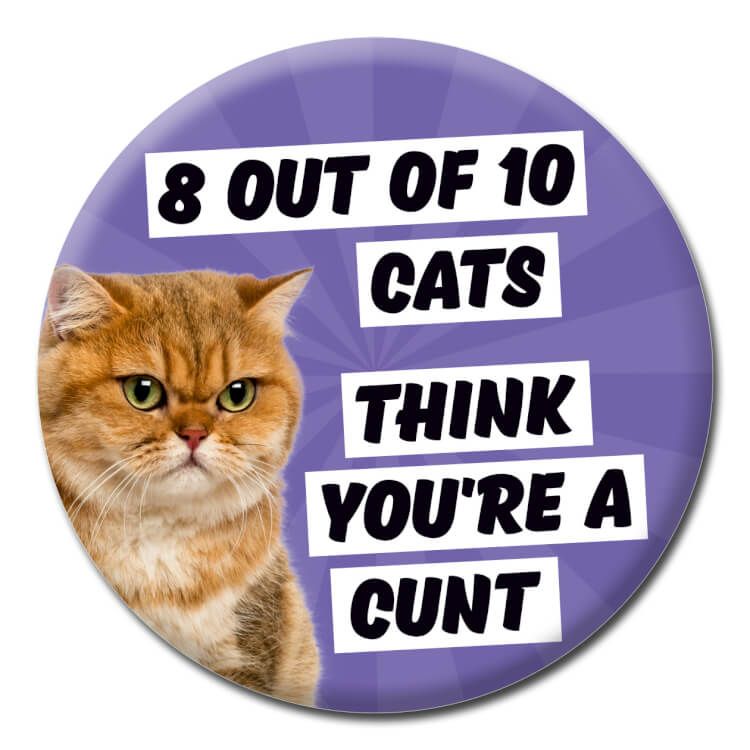 A badge reading 8 out of 10 cats think you're a cunt