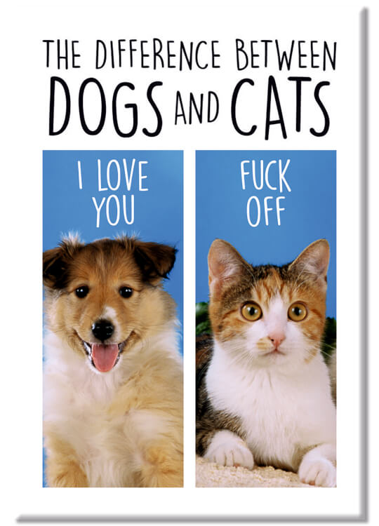 A fridge magnet with two pictures on the front, a happy looking dog and an aloof looking cat