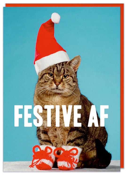 A Christmas card with a festive picture of a miserable looking cat wearing a santa hat and red booties