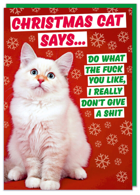 A Christmas card with a picture of a miserable looking white cat against a red background