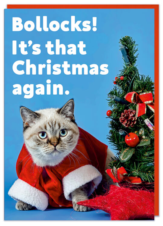 A rude Christmas Card with a kitsch piture of a miserable looking cat