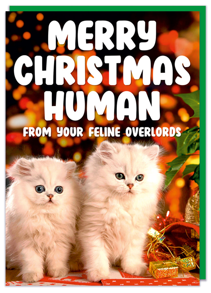 A Christmas card with a photograph of two cute white kittens surround by various Christmas decorations.  Bold white capitalised text above them reads Merry Christmas human from your feline overlords