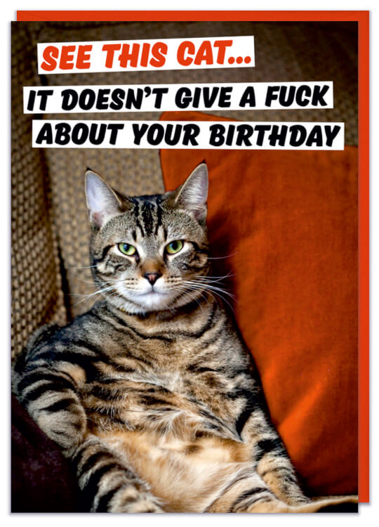 A birthday card with with a very moody looking cat sat spreadeagled on a sofa