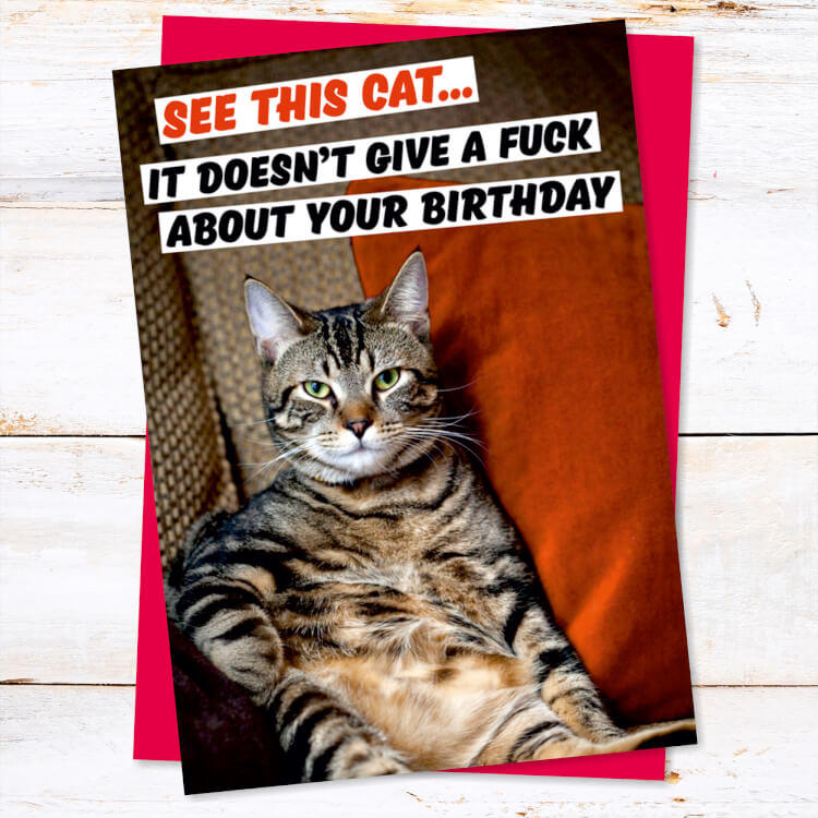 Mod Rude Cards Rude Cards and Gifts by Dean Morris Cards