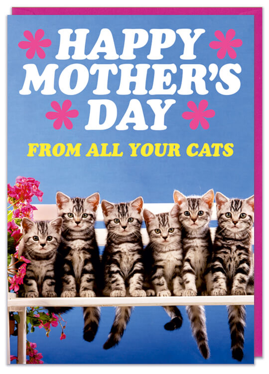 Happy Mothers Day All Your Cats Card