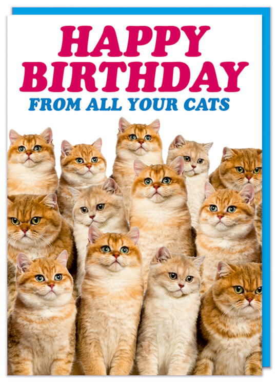 A birthday card with lots of cats covering the front