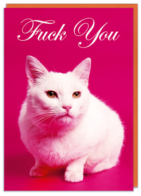 A birthday card with a photo of a moody looking white cat resting on a pink background