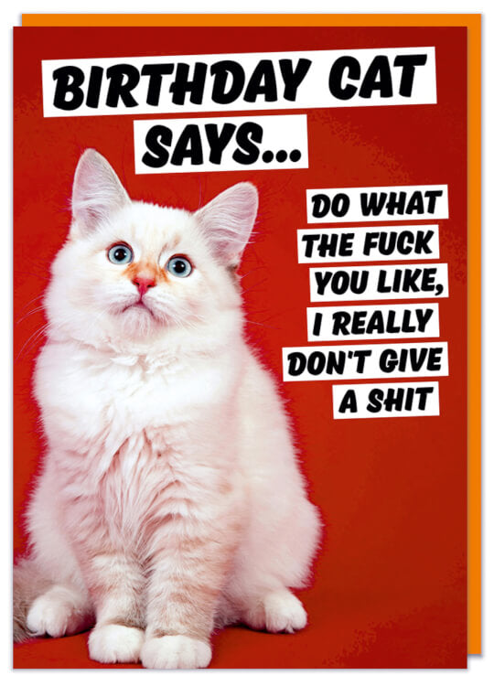 A birthday card with a photo of an aloof looking white cat against a red background
