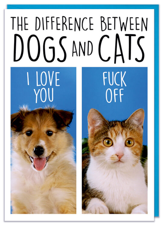 A funny birthday card with a picture of a happy dog and rude cat