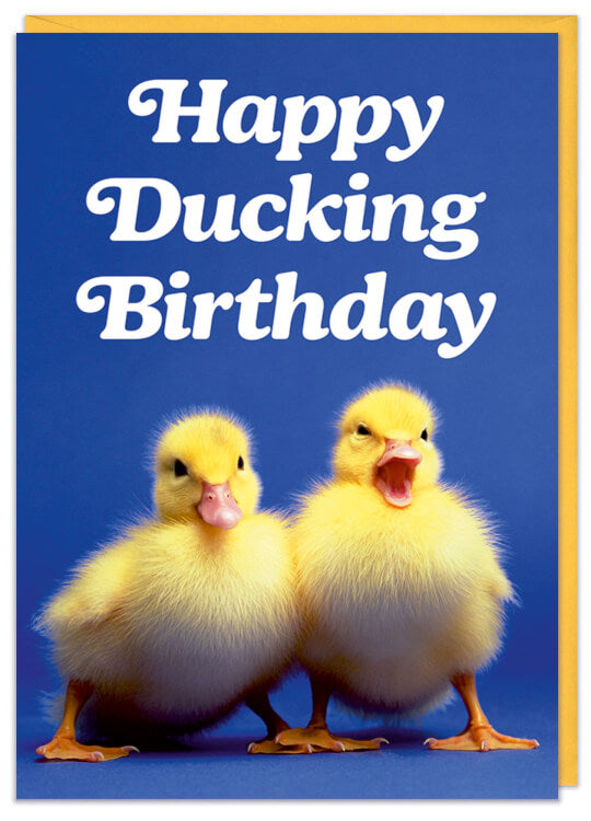 A blue birthday card with a photo of a pair of young bright yellow ducklings