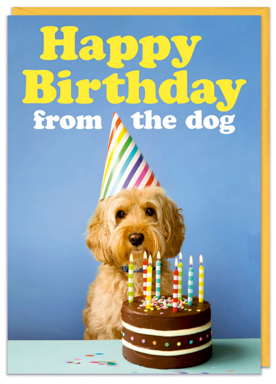 A birthday card with cute picture of a shaggy dog wearing a birthday hat sat behind a birthday cake with candles