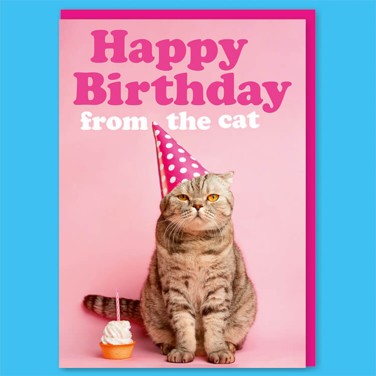 images by duckine duck on happy birthday | happy... Cute Cat Memes Birthday