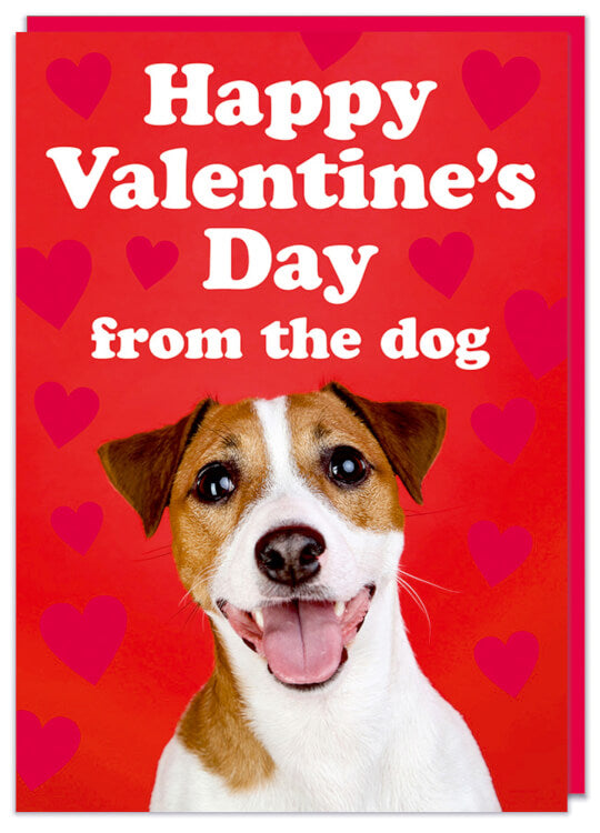 A Valentine's card with a picture of a smiling dog sticking it's tongue out against a deep red background