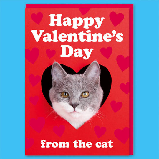 valentine card from the cat