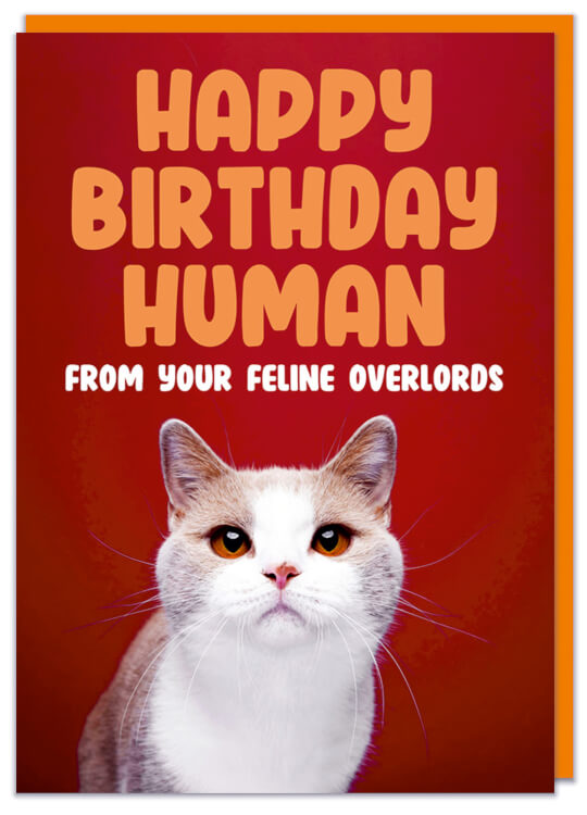A birthday card with a picture of an aloof looking white cat staring to camera.  Orange and text above reads Happy Birthday human from your feline overlords