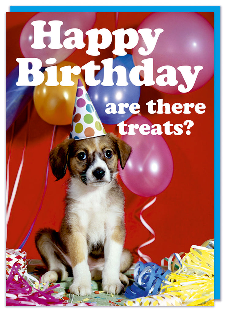 A funny birthday card featuring a retro picture of a cute dog wearing a party hat surrounded by balloons and streamers