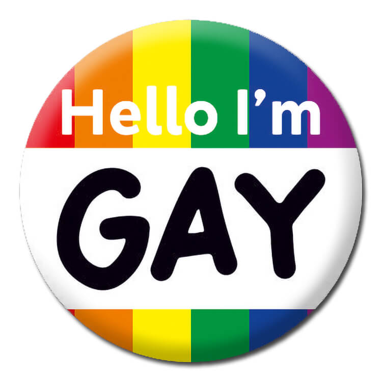 A rainbow patterned badge with white and black text in the middle that reads Hello I'm Gay