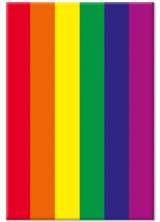 A rectangular fridge magnet with the classic six colour rainbow flag pattern