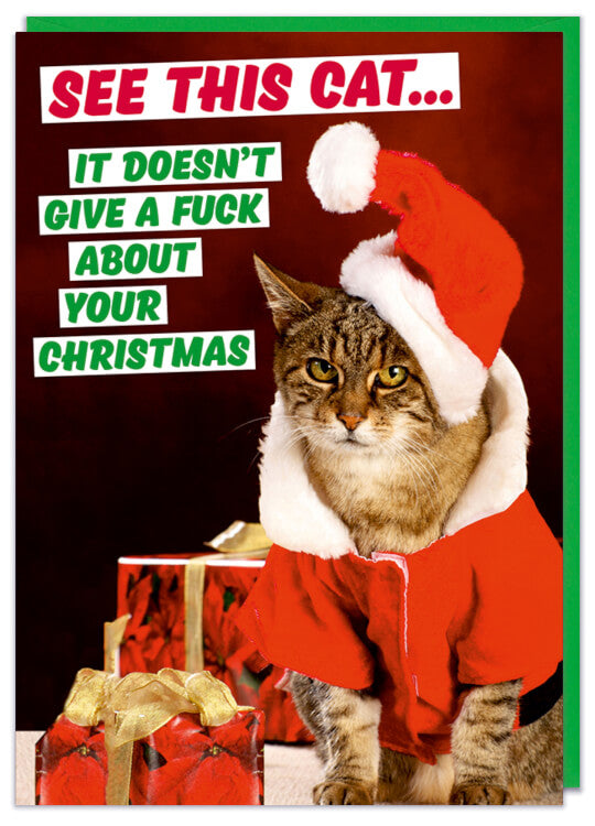 A Christmas card with a picture of a miserable looking cat dressed in a santa outfit