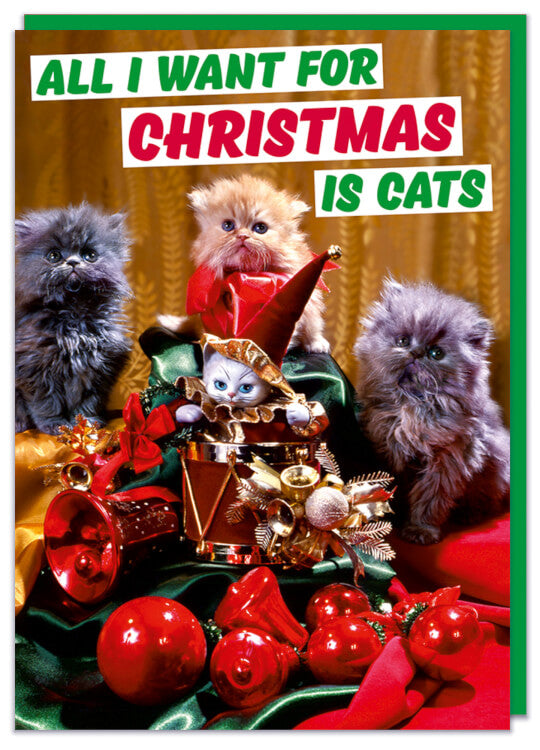 A Christmas card with a retro picture of festive cats surrounded by lots of Christmas paraphernalia