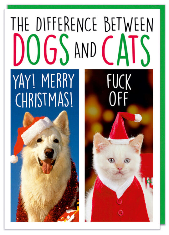 A Christmas Card with a picture of a smiling dog and miserable cat