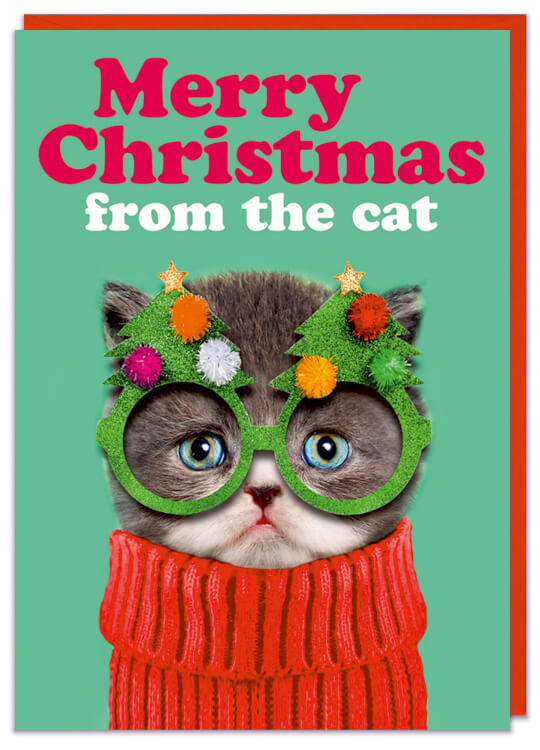 A Christmas card colourful picture of a frowning cat in a red Christmas jumper wearing christmas tree festive glasses against a green backdrop