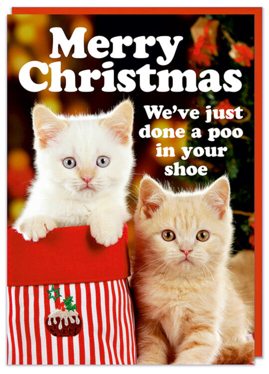 A Christmas card with a picture of two kittens by a christmas stocking. Rounded white text above and beside reads Merry Christmas We've done a poo in your shoe