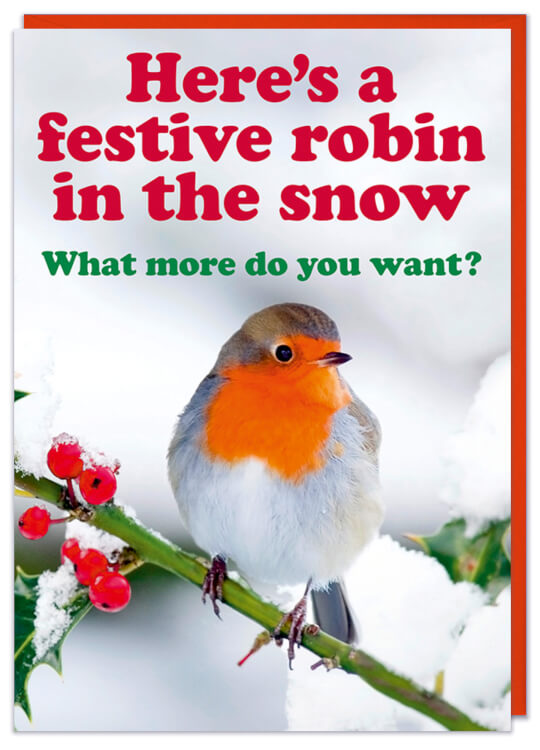 A Christmas card with a close up picture of robin on a bough of holly.  Red and green curved text above reads Here's a festive robin in the snow. What more do you want?