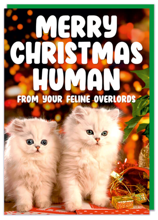 A Christmas card with a photograph of two cute white kittens surround by various Christmas decorations.  Bold white capitalised text above them reads Merry Christmas human from your feline overlords
