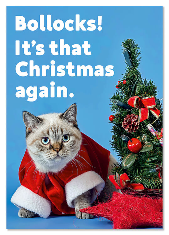 A Christmas postcard with a picture of a miserable looking cat dressed up as Santa Claus